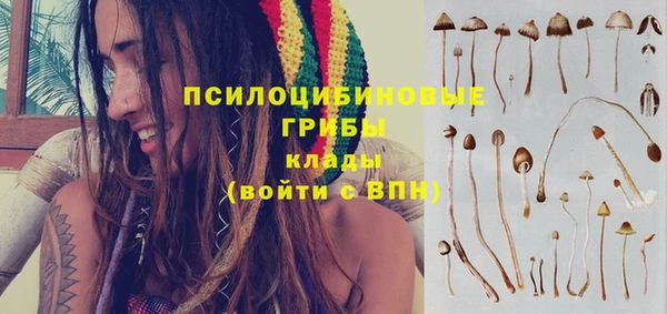 Альфа ПВП Арсеньев