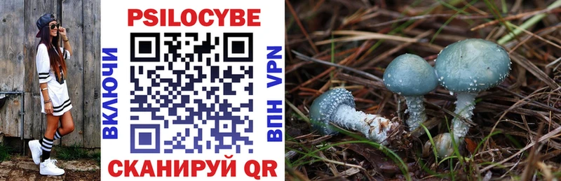 Псилоцибиновые грибы Magic Shrooms дарк нет клад Макаров