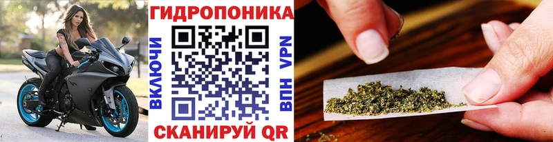 Канабис LSD WEED  omg онион  Макаров 